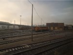 BNSF locos in the Denver yard